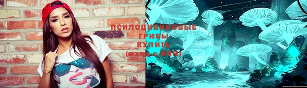 мдпв Кинешма