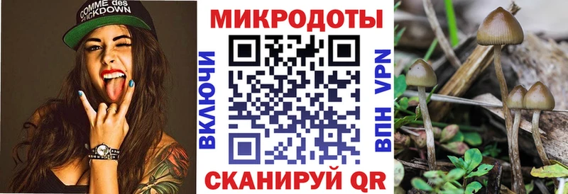 Галлюциногенные грибы Magic Shrooms  купить наркоту  ссылка на мегу онион  Димитровград 