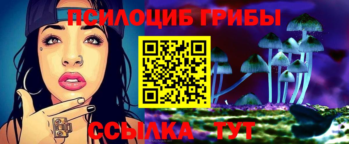 Димитровград  Псилоцибиновые грибы ЛСД  Вход с VPN 