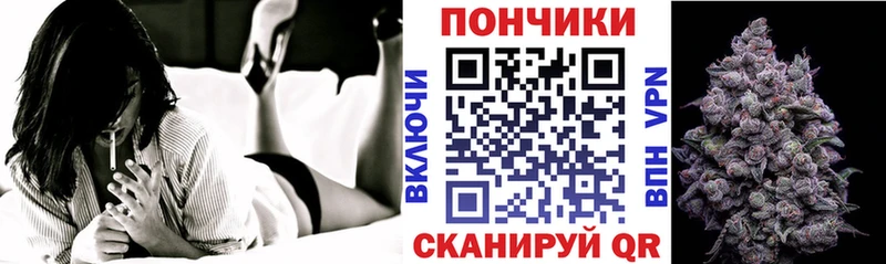 где купить наркоту  Димитровград  Бошки марихуана OG Kush 